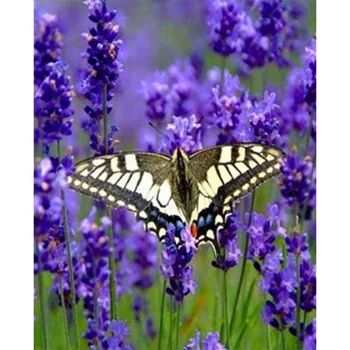 5D САМ Кръгла, Квадратна картина на Диамантена кръст бод Мозайка Пеперуда на Цвете Картина за Декорация на дома, Подарък ръчна изработка WG2345